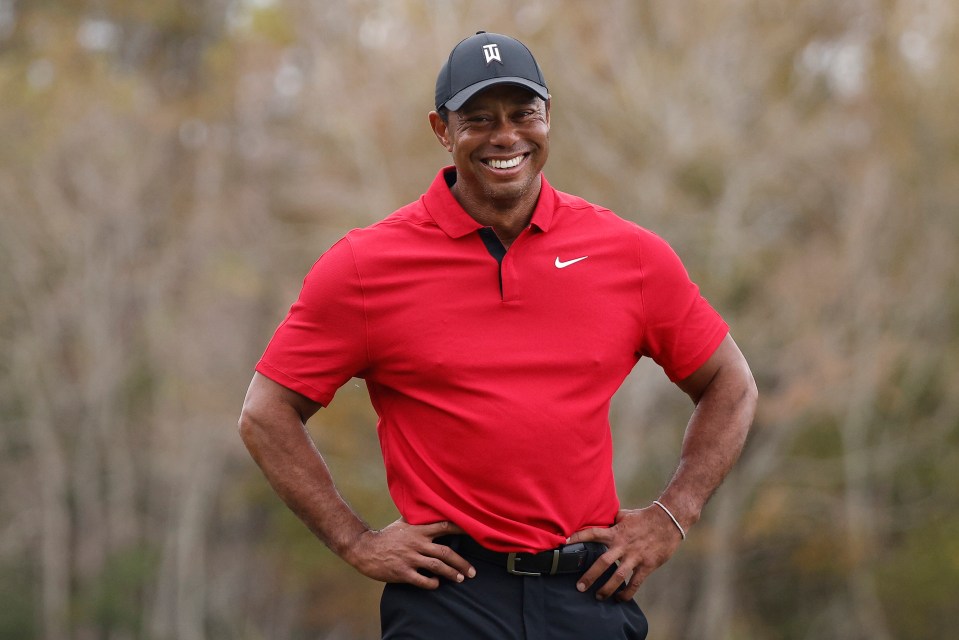 Tiger is hoping to fight back from rupturing his Achilles