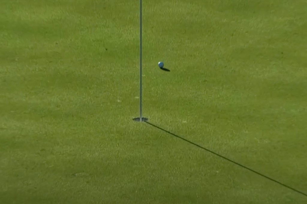 Tiger Woods robot 