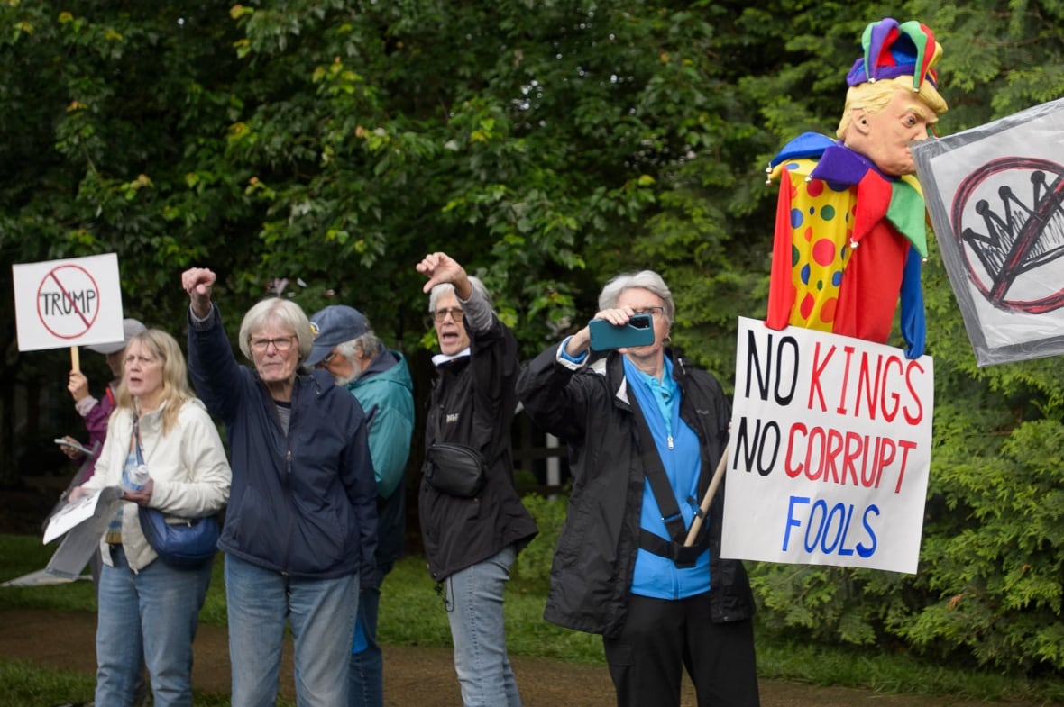 Several people, mostly seniors, hold signs and stand in an apparent outdoor demonstration. One sign reads, 'No kings, no corrupt fools.'
