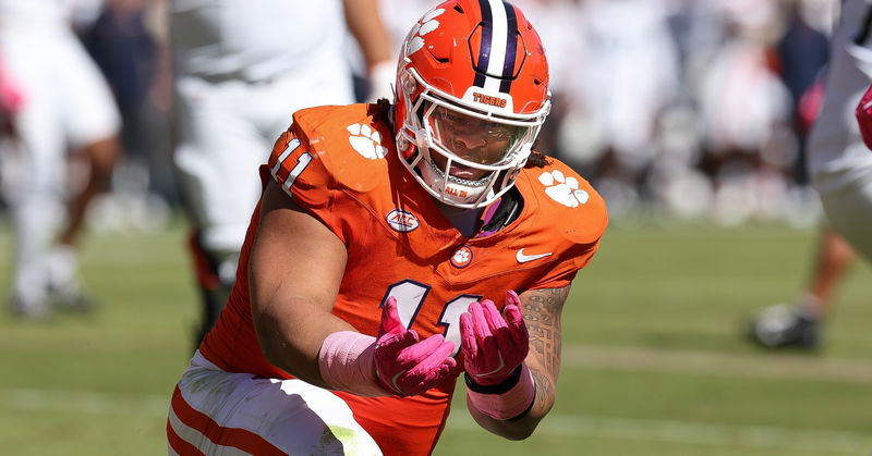 Peter Woods is expected to emerge as a breakout star. 