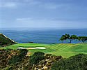 Torrey Pines