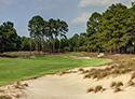 Pinehurst