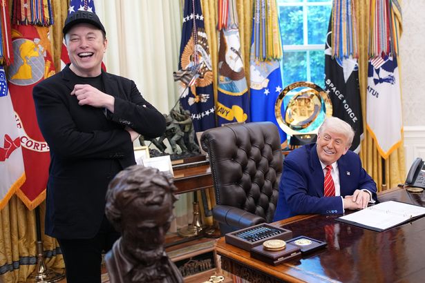 Elon Musk Donald Trump