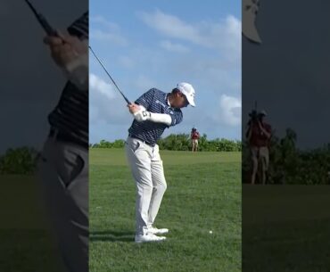 그린주변 러프 어프로치 I 조엘 데이먼(Joel Dahmen)