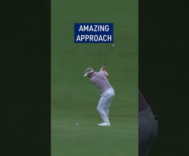 PERFECTION from Luke Donald! 😱