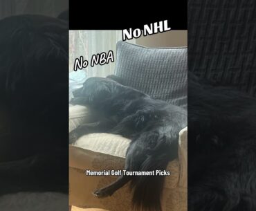 Memorial Golf Tournament Round 2 Picks - Hovland vs Aberg - Friday Golf