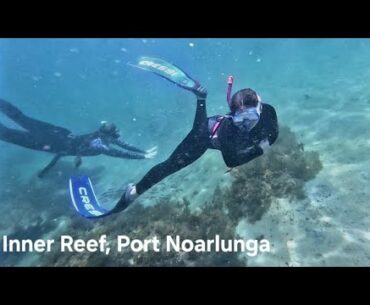 Port Noarlunga Reef | Adelaide Freedive Tribe
