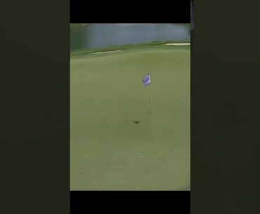 Joel Dahmen hole-in-one at Charles Schwab Challenge!