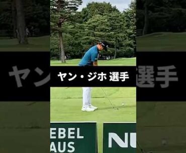 ヤン・ジホ選手のアイアンショットのスイング