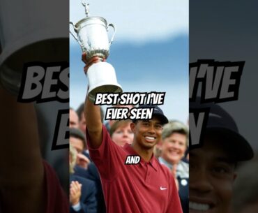 Ted Scott said this is Tiger Woods best shot