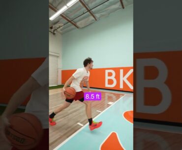 How High Can You Dunk?