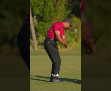 Tiger Woods Wedge Bounce #subscribe #golf