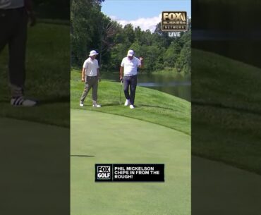 Phil Mickelson is on FIRE with his wedges! 🔥 #philmickelson #livgolf #golf #birdie