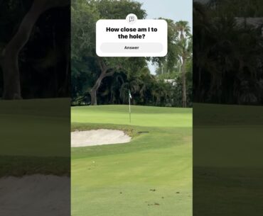 How close? #golf #golfgame #golftechnique #golfswing