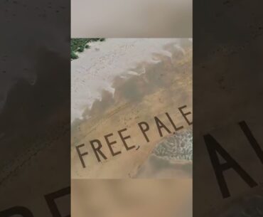 Artist writes massive 'Free Palestine' message next to Trump golf course #shorts