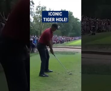 Tiger Woods' final round MASTERY! 😱