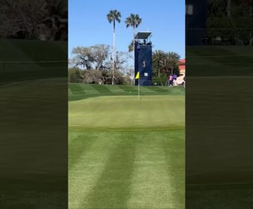 Adam Scott tries to recreate his famous pitch shot that helped him win the 2004 Players Championship