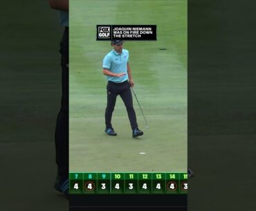 The stretch that SEALED the win for Joaquin Niemann 👏🔥 #JoaquinNiemann #LIV #Golf #Birdie