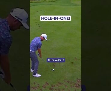 SATISFYING hole-in-one! 1️⃣