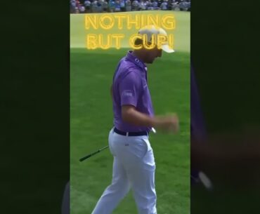 Davis Riley Chipped It Like a Free Throw – NOTHING BUT CUP! #shortsvideo #golfshorts