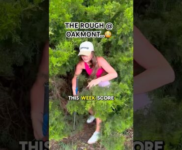The￼ rough this week at Oakmont is an absolute hazard #golf #golfgirl #golfhumor #usopen #usga