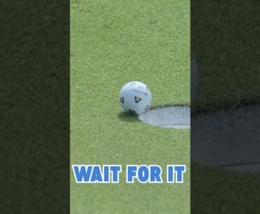 Fleetwood Just Froze Time with This Chip Shot! #golfshorts #shortsvideo #golf