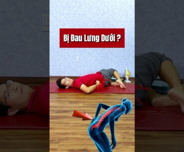Mẹo Giảm Đau Lưng Dưới Cực Hay #shorts