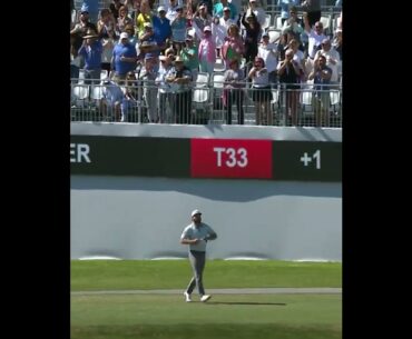 Grayson Murray hole in one 2020 Honda Classic © PGA Tour