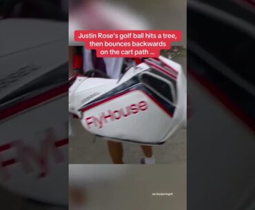 Normal day on the golf course… 😂