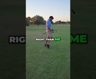 Golfers Debate Shot Strategy on the Green: Fairway to Funny!