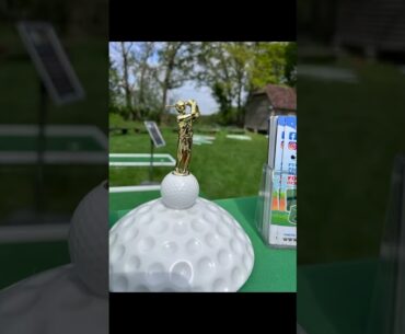 Audio guest wedding phone greeting message  and 9 hole mini golf course