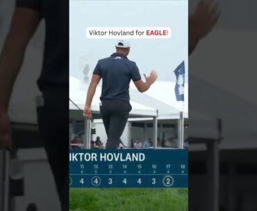Viktor Hovland for EAGLE! And T2!  #usopengolf #golf #eagle #viktorhovland #oakmont #osu