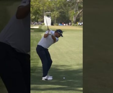 Andrew Novak Wedge Swing 2025 #andrewnovak  #pgatour #golf #golfswing