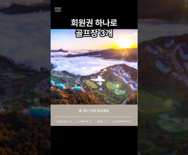 강원도 소노펠리체cc회원권 으로 골프장 3개 무료 또는  약 60%할인 동반인까지???                   #소노펠리체cc #쇼츠 #shorts