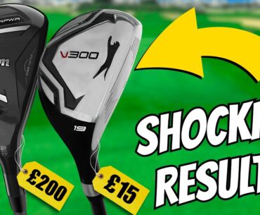 INCREDIBLE $20 Budget vs $250 BIG NAME Hybrid - CRAZY RESULTS