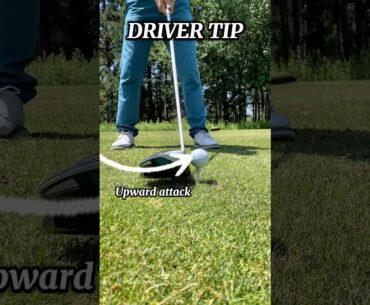 How high to tee golf ball for driver #golf #golfswing #golftips #golfer #golfing #golflife