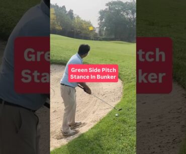 Green-side pitch shot with stance in bunker #golf #golfshot #golfgear #golfcoach #viralshorts
