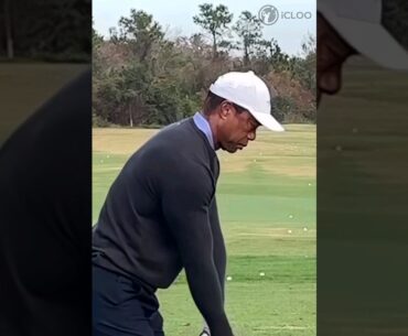 This is TIGER WOODS's swing