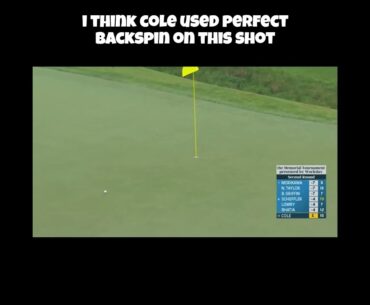 Eric Cole Hits Fantastic Approach Shot! #golf #ericcole #pgatour