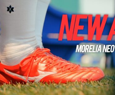 "Evolved AG Emerges" l Morelia Neo 4 Elite AG