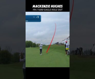 PGA Mackenzie Hughes 194 yard Eagle Hole Out #golf