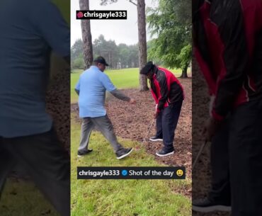 Chris Gayle shows off golf skills with ‘Shot of the Day’  | Sports Today