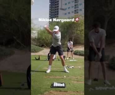 Niklas Bukrinsky Nørgaard Training 🏌😎🔥 #golfshorts #golfswing #amazinggolf #golfpros #golfdownswing