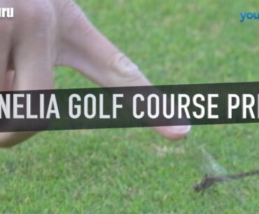 Cornelia Golf Course Prince