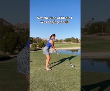 Learn some course etiquette! #golfers #golf #cartgirl #golfgirls #golfer #golfadvice #golfcourse ￼