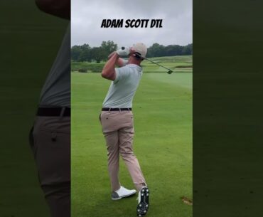 Adam Scott DTL