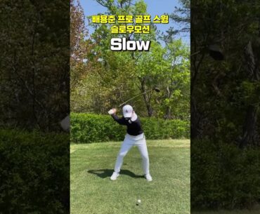 좋아!! 배용준 프로 드라이버 스윙 슬로우 모션