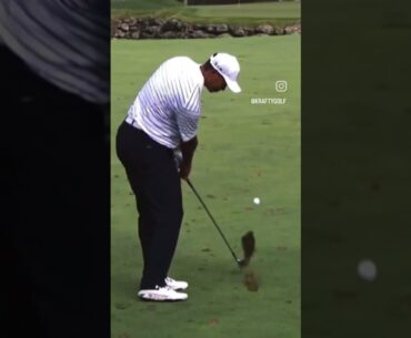 보기만 해도 도움이 되는 골프스윙 (Tiger Woods) #골프스윙 #골프레슨 #골프이미지트레이닝 #tigerwoods #타이거우즈 #골프asmr #golfasmr
