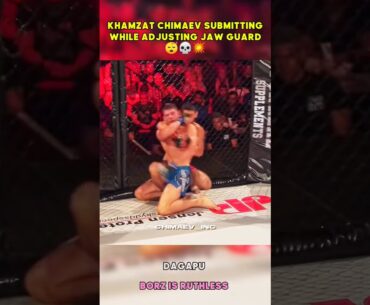 KHAMZAT CHIMAEV VS A SUBMITTER #shorts #ufc #mma #fight #ytshorts