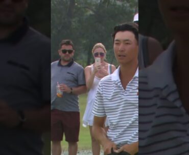 The WINNING Putt 🏆 #golf #shorts